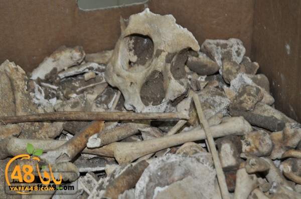 maqbara qeshleah (12).JPG